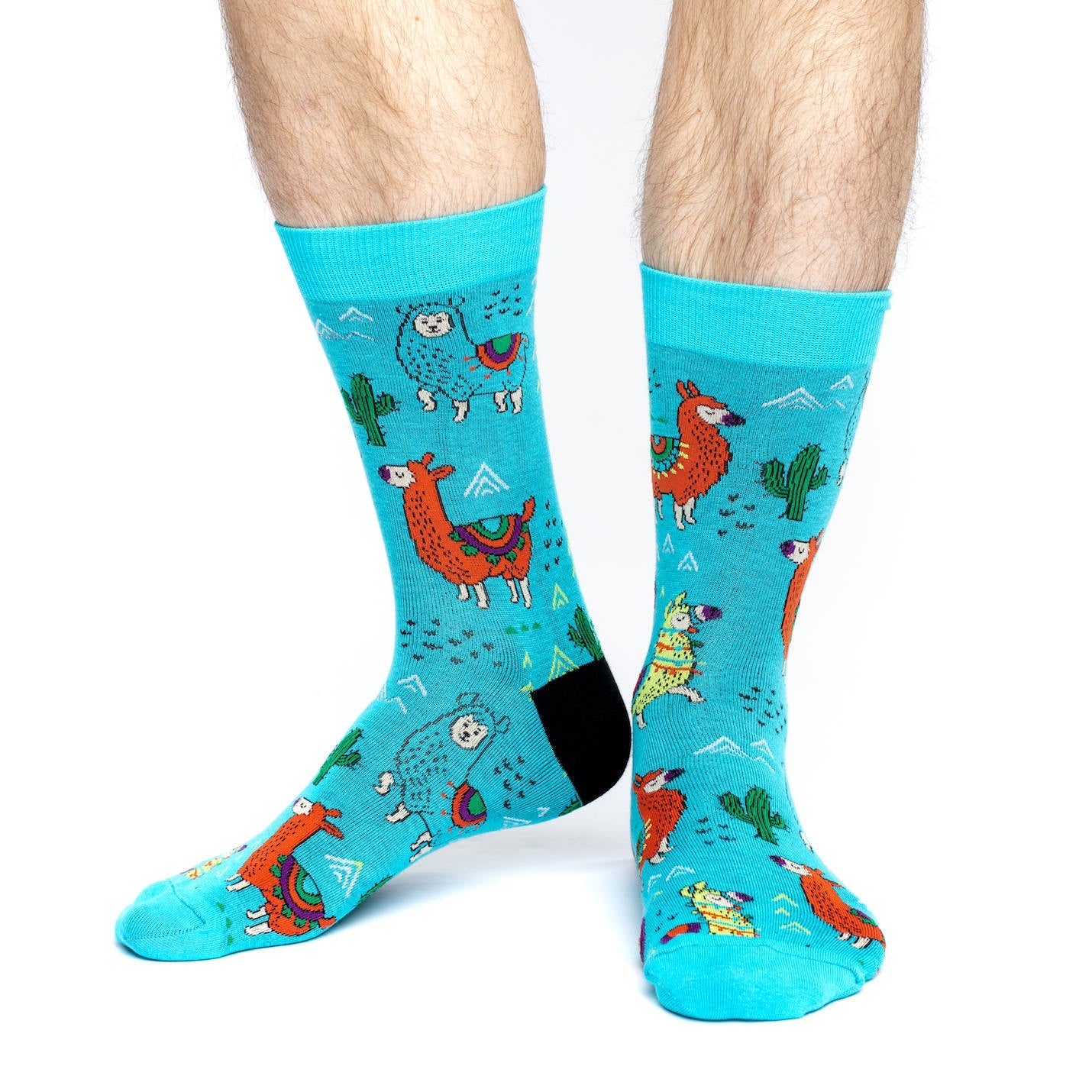 Men's Big & Tall Fun Llamas Socks