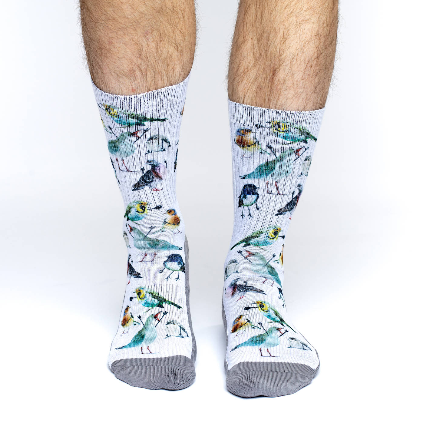 Men's Birds Socks