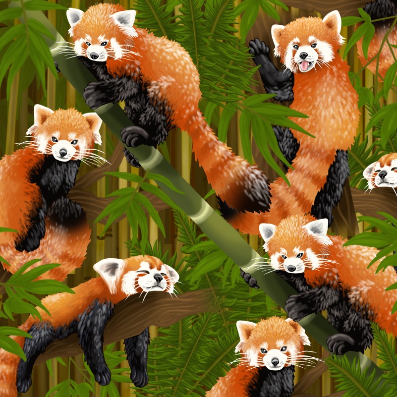 Animals
