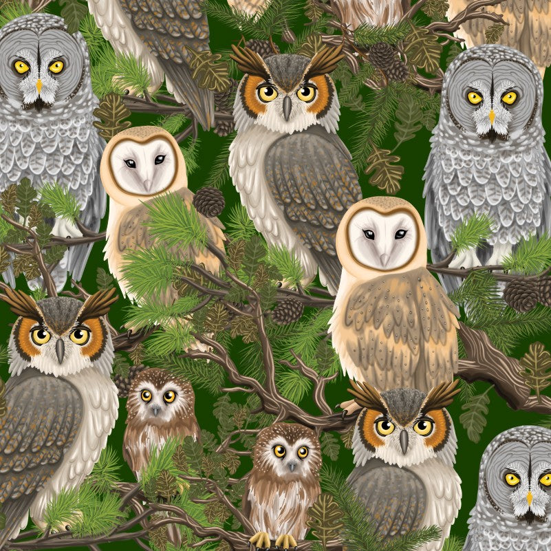 Birds