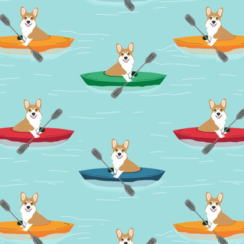 Corgi