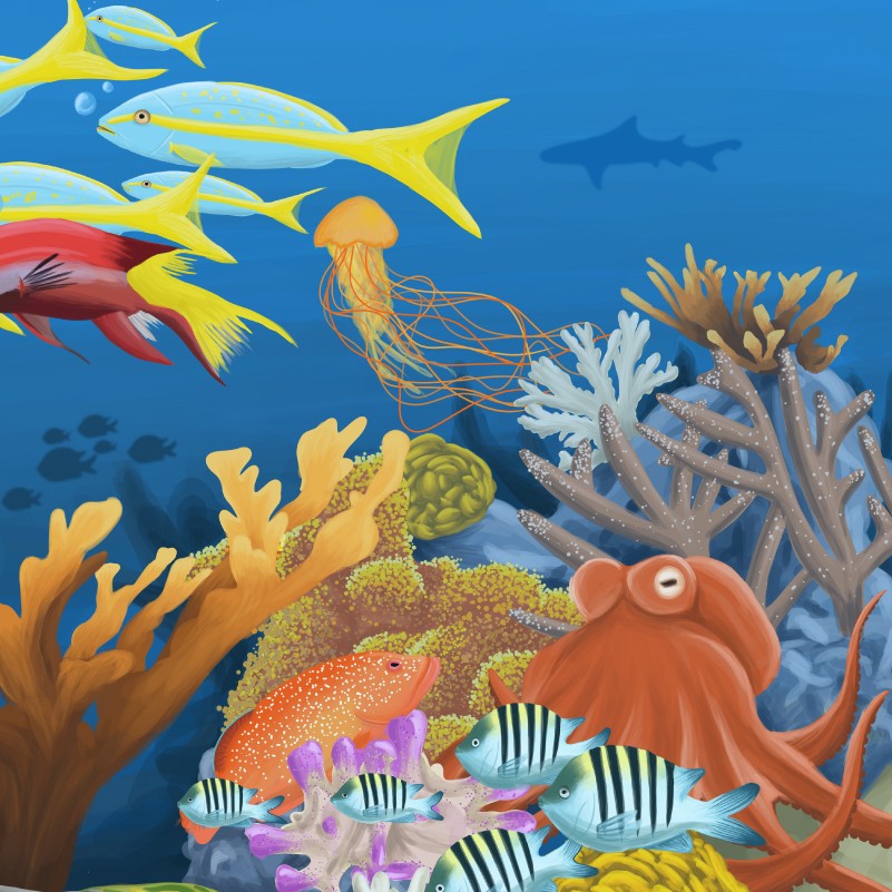 Marine Life & Ocean