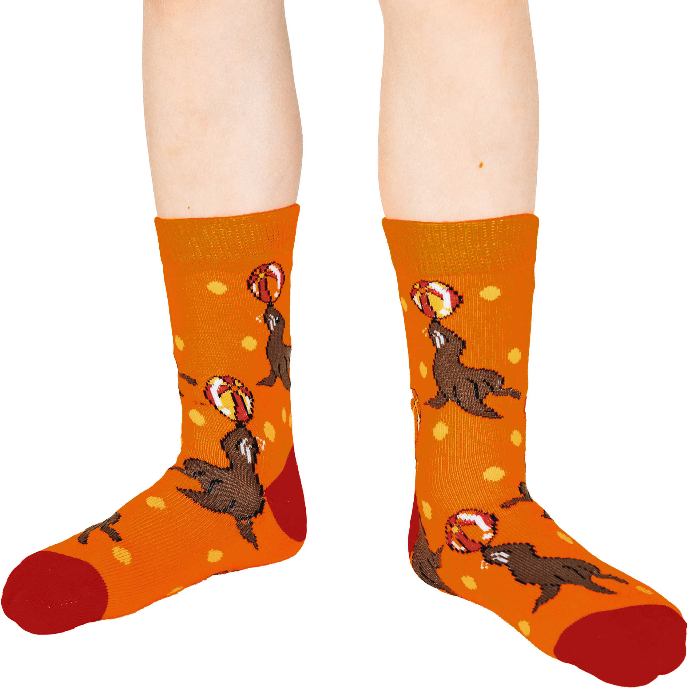 Sea Lions, Sea Otters and Kitty Cats Kids Socks