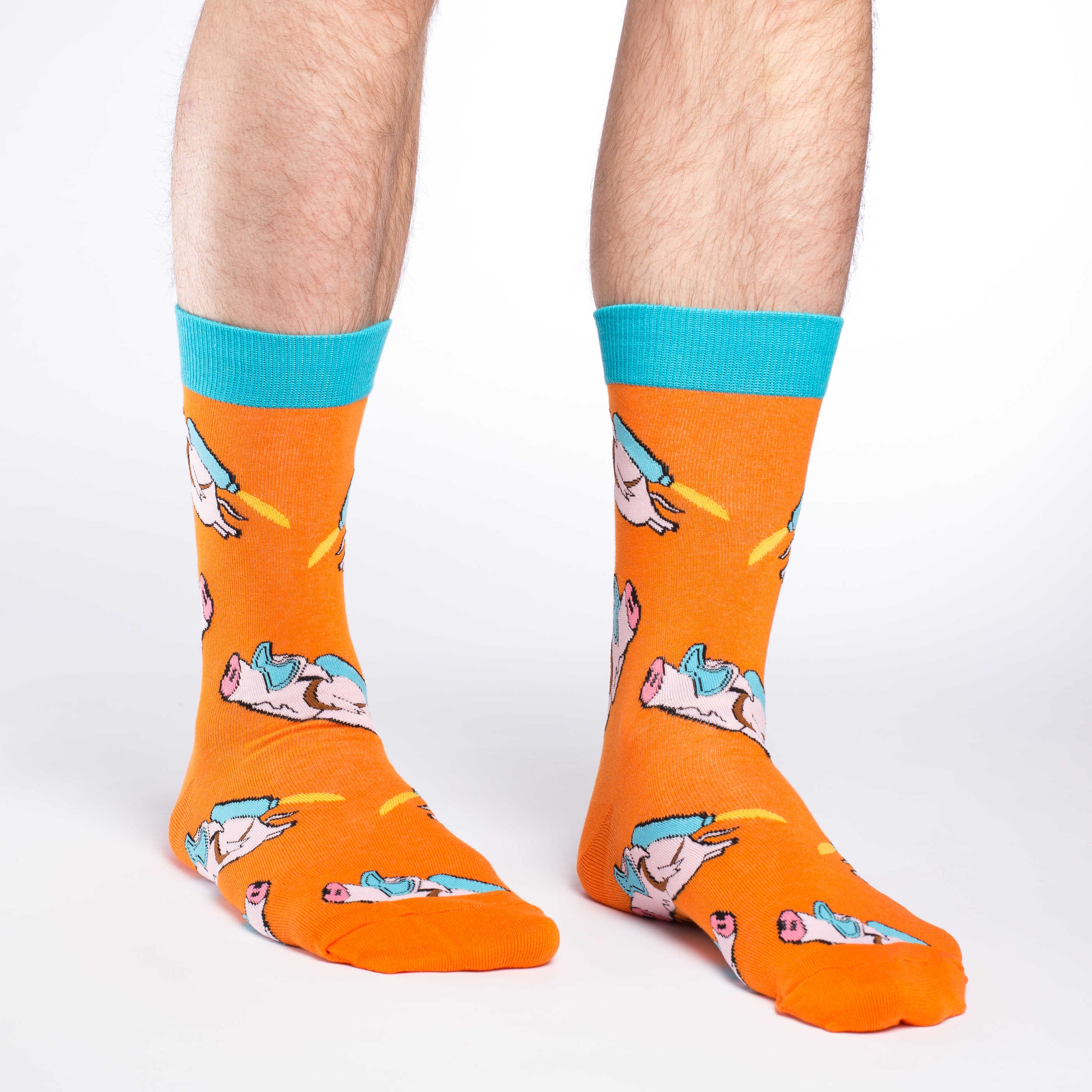 Men's Flying Pigs Socks