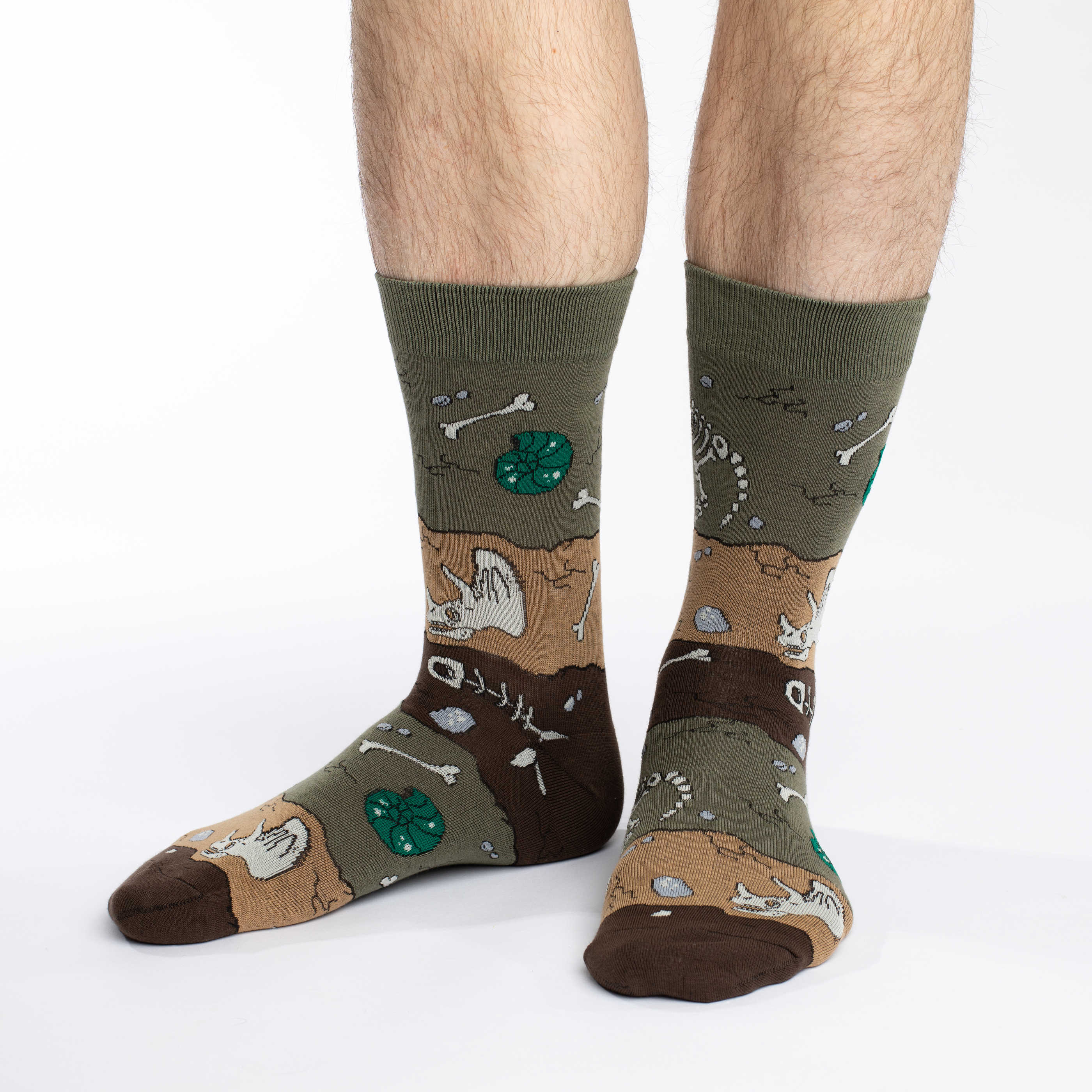 Men's Big & Tall Dinosaur Fossil Layers Socks
