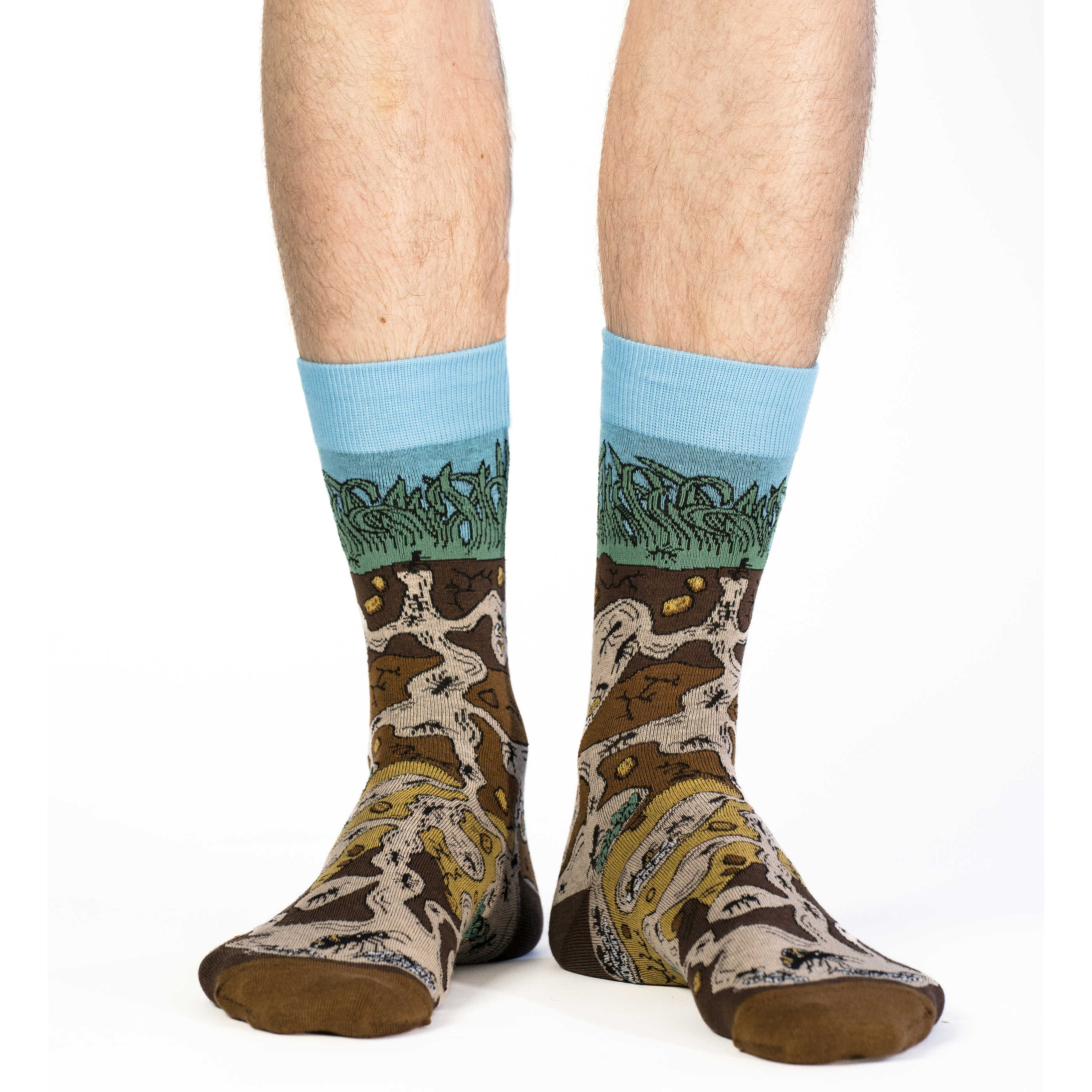 Men's Ant Colony Socks