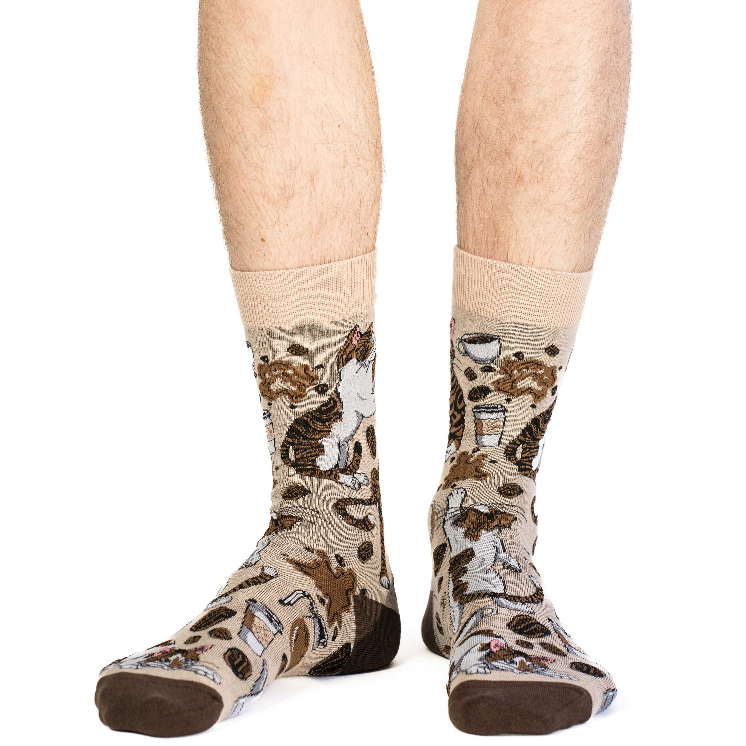 Men's Coffee Cats Socks