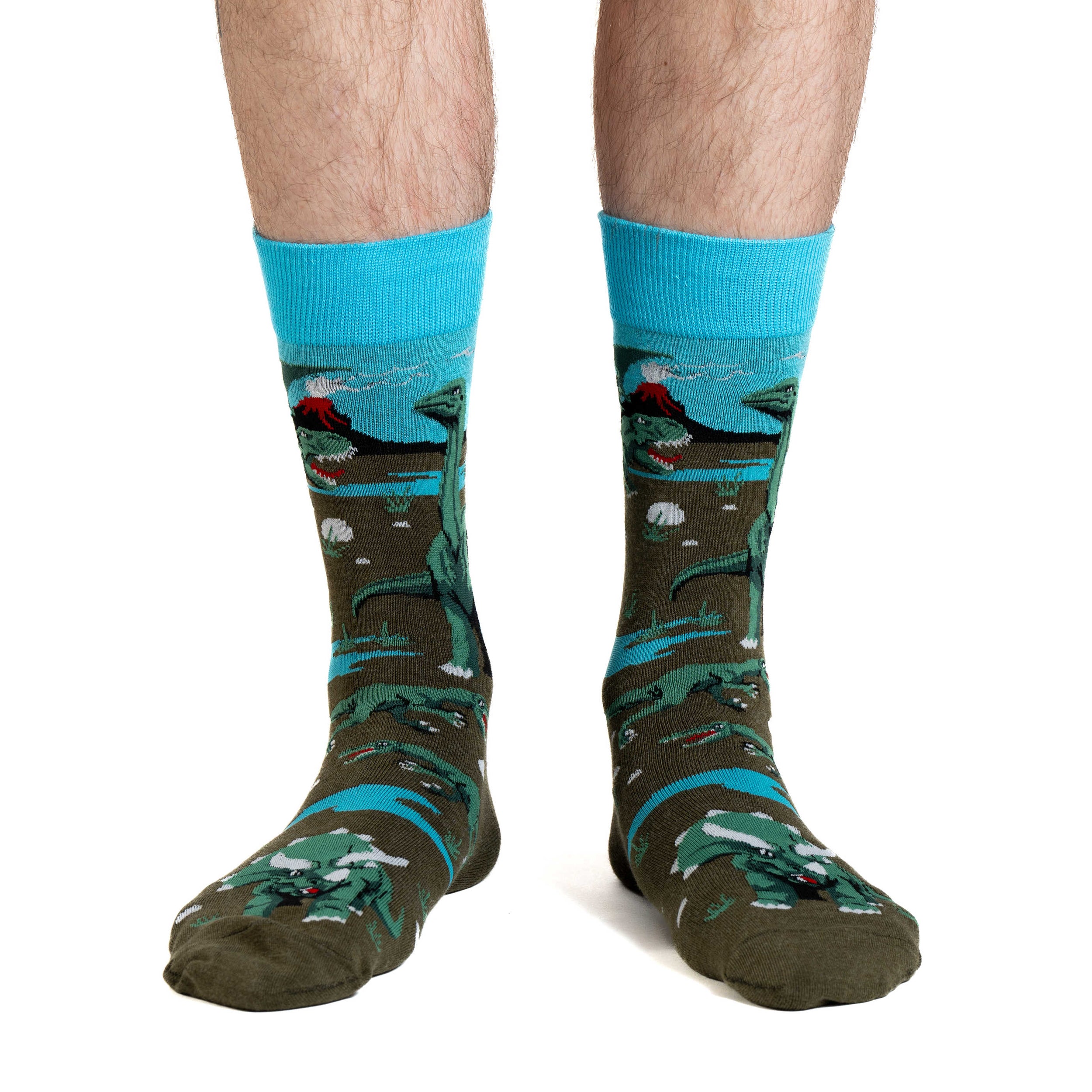 Men's Dinosaur World Socks