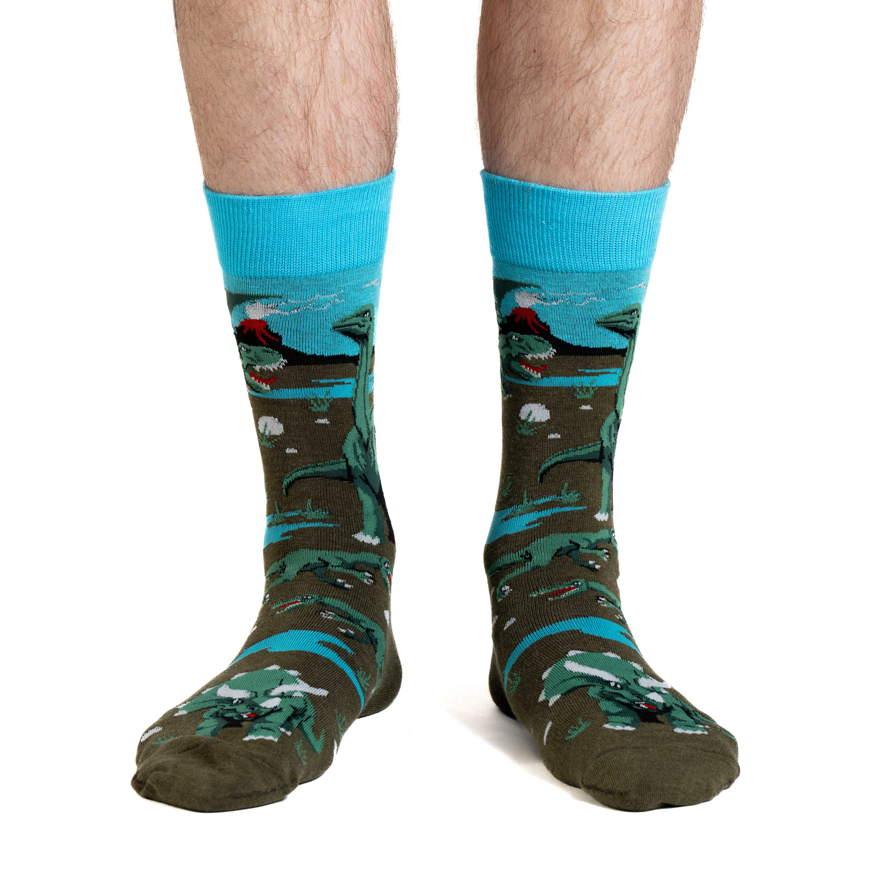 Men's Dinosaur World Socks