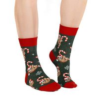 Women's Candy Cane Sloths Socks