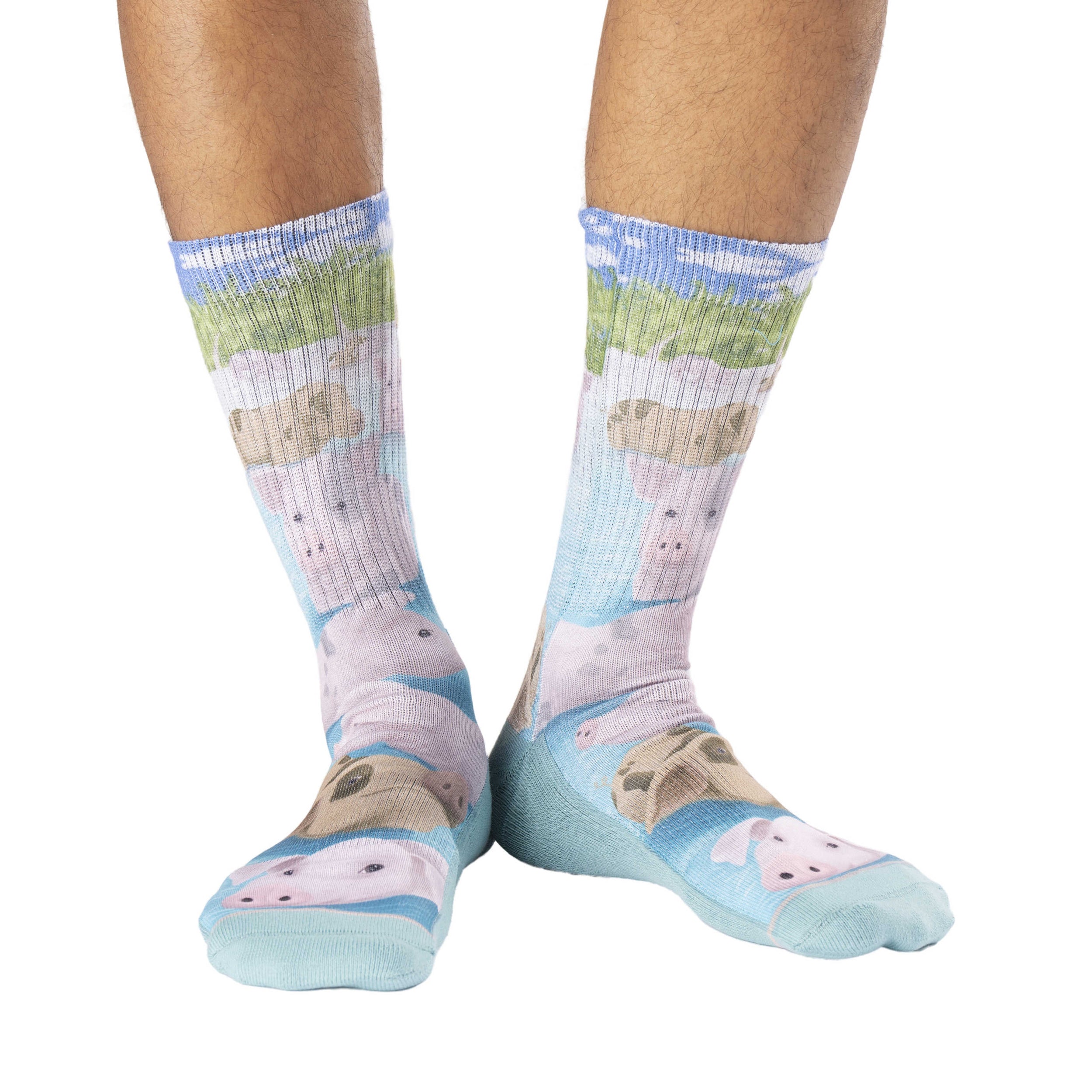 Men's Swimming Pigs Socks