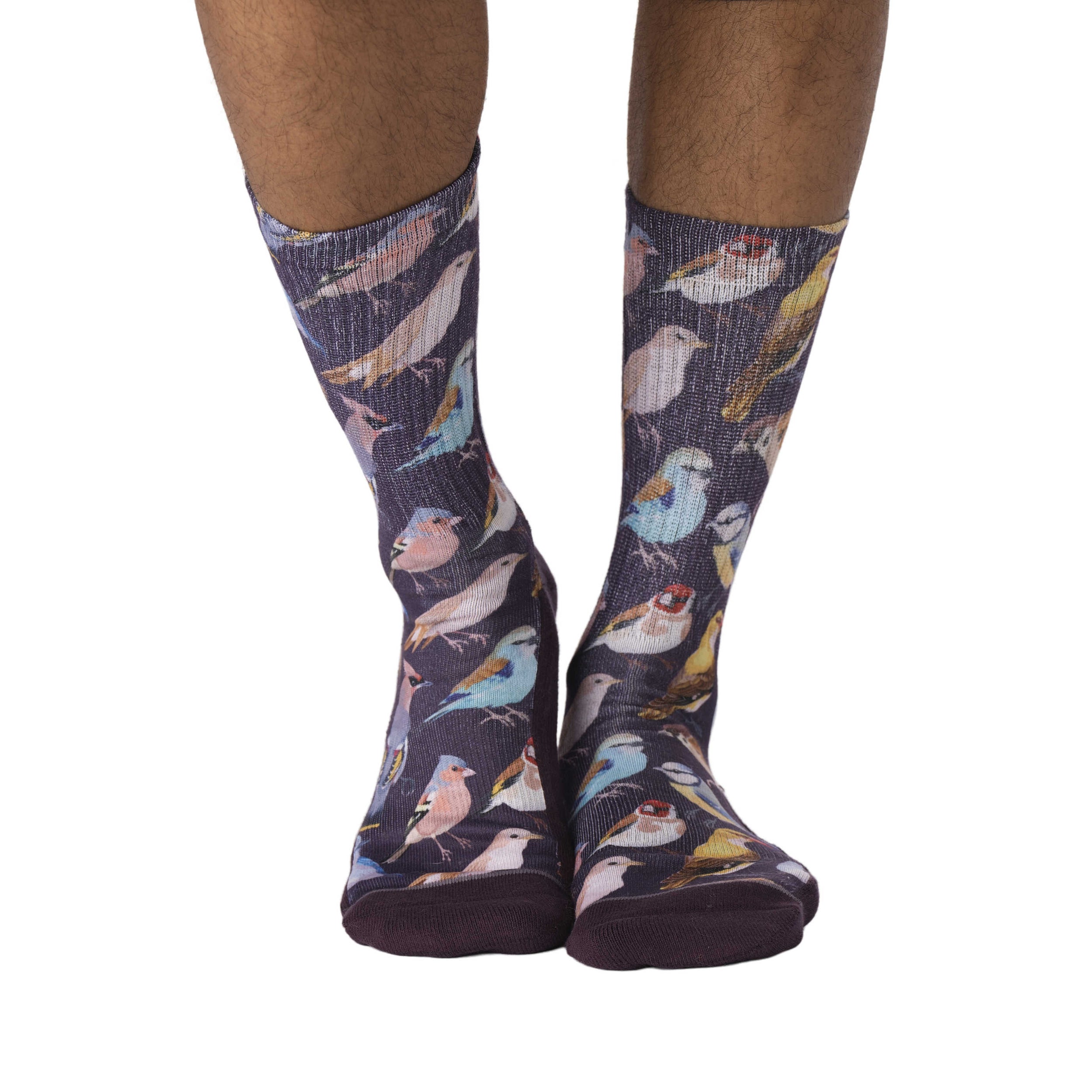 Men's Botanical Birds Socks