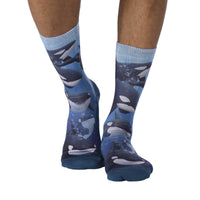 Men's Pod of Orcas Socks