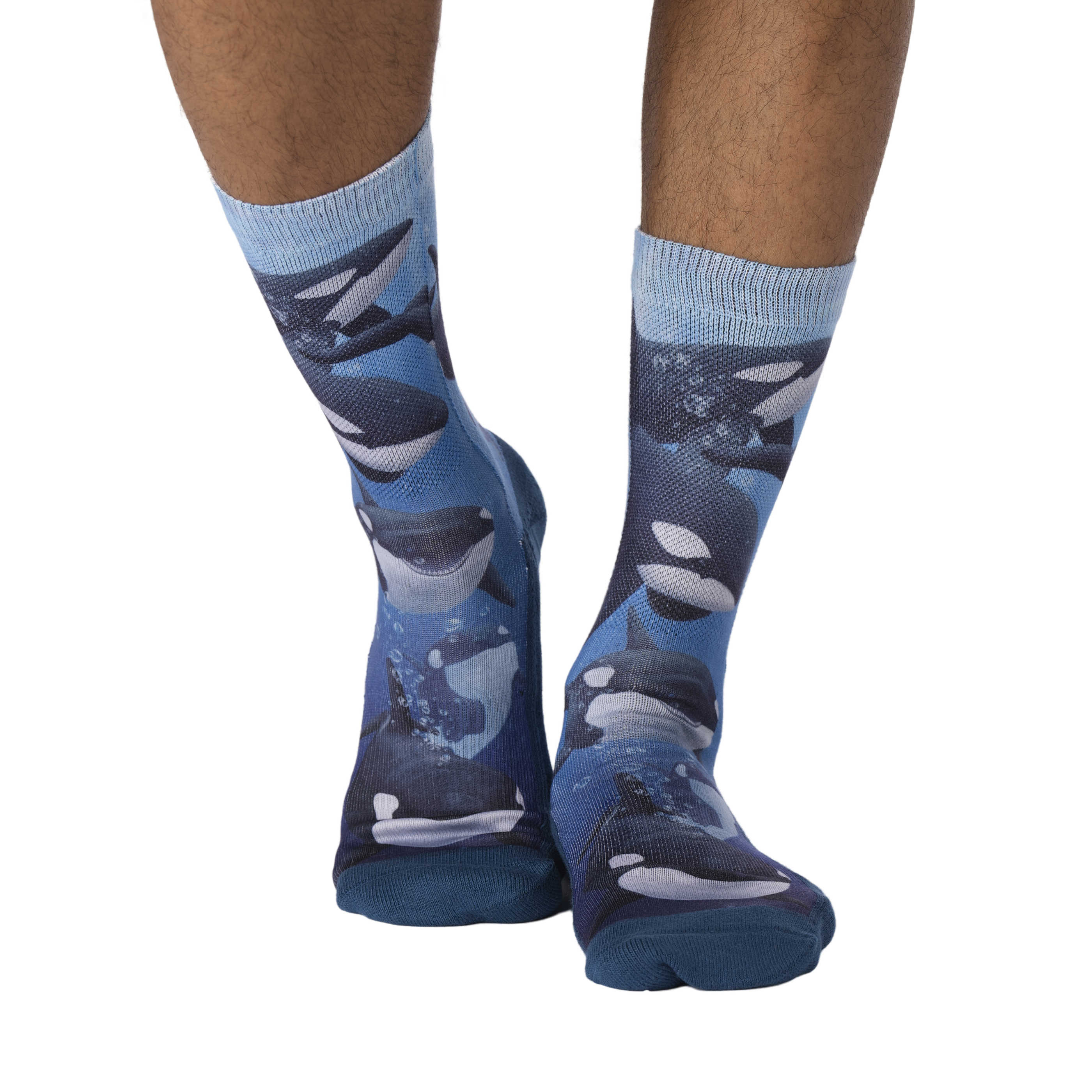 Men's Pod of Orcas Socks