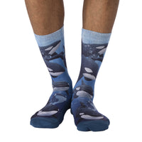 Men's Pod of Orcas Socks