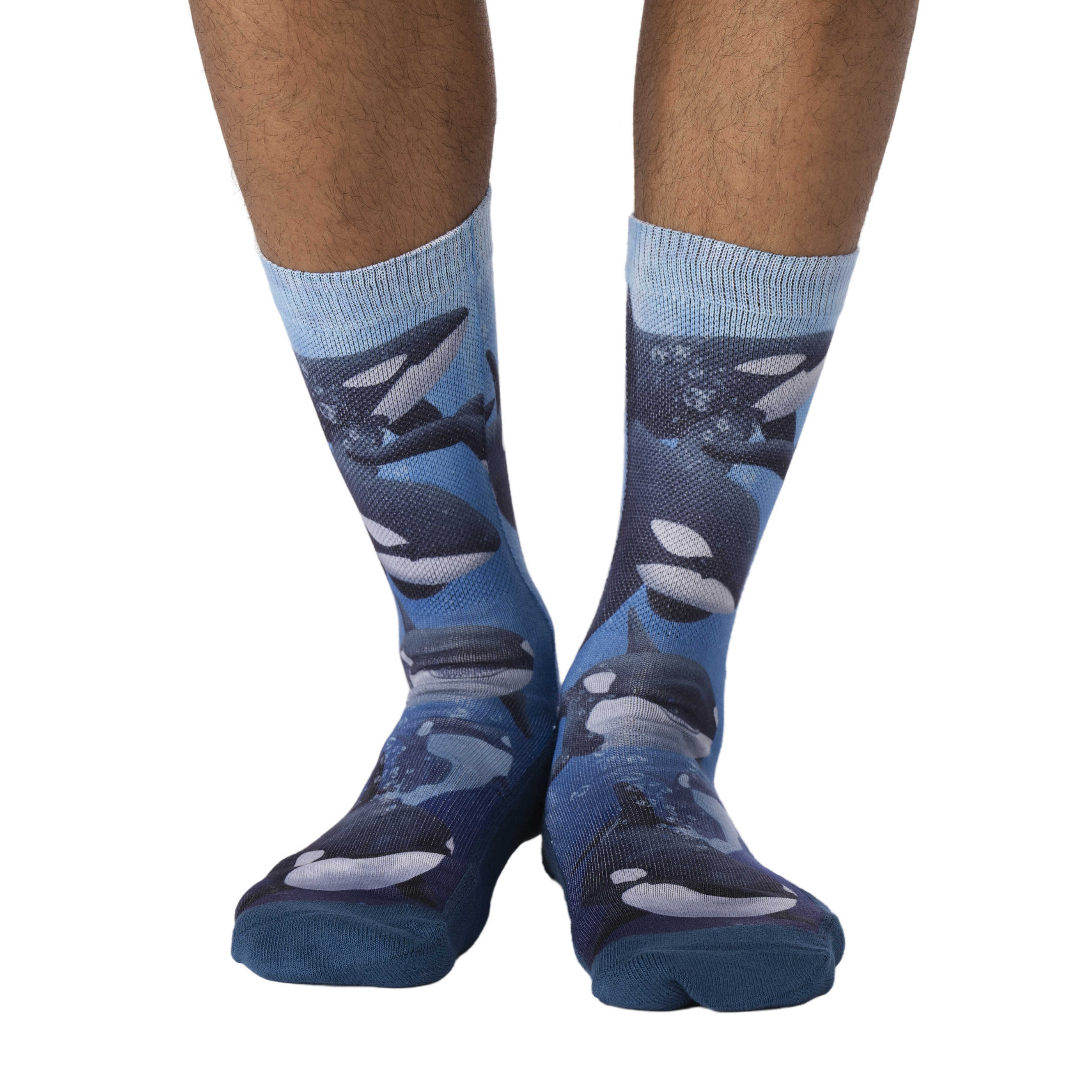 Men's Pod of Orcas Socks