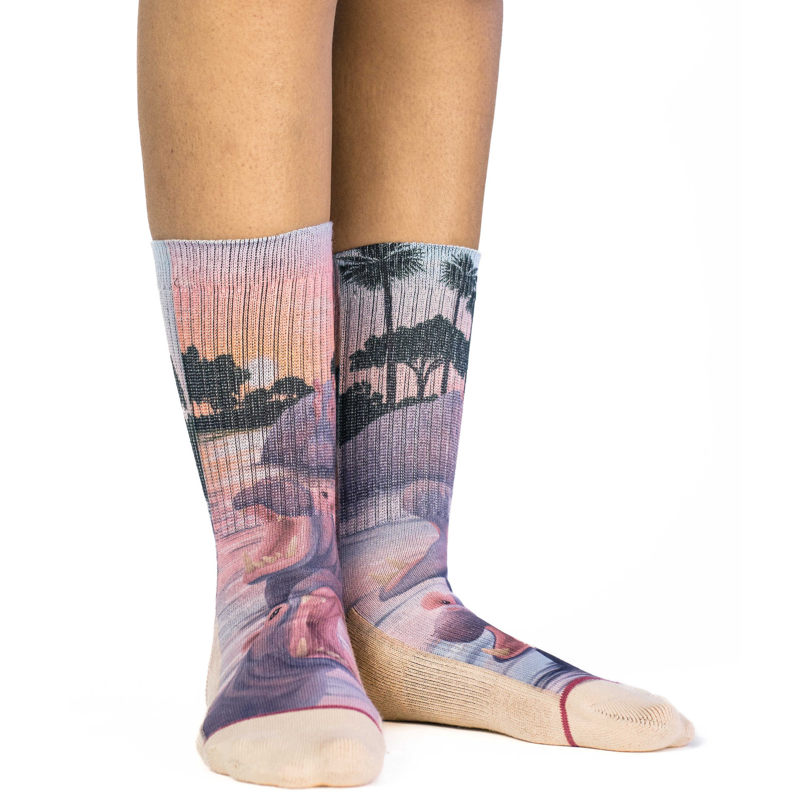 Women's Bloat of Hippopotamus Socks