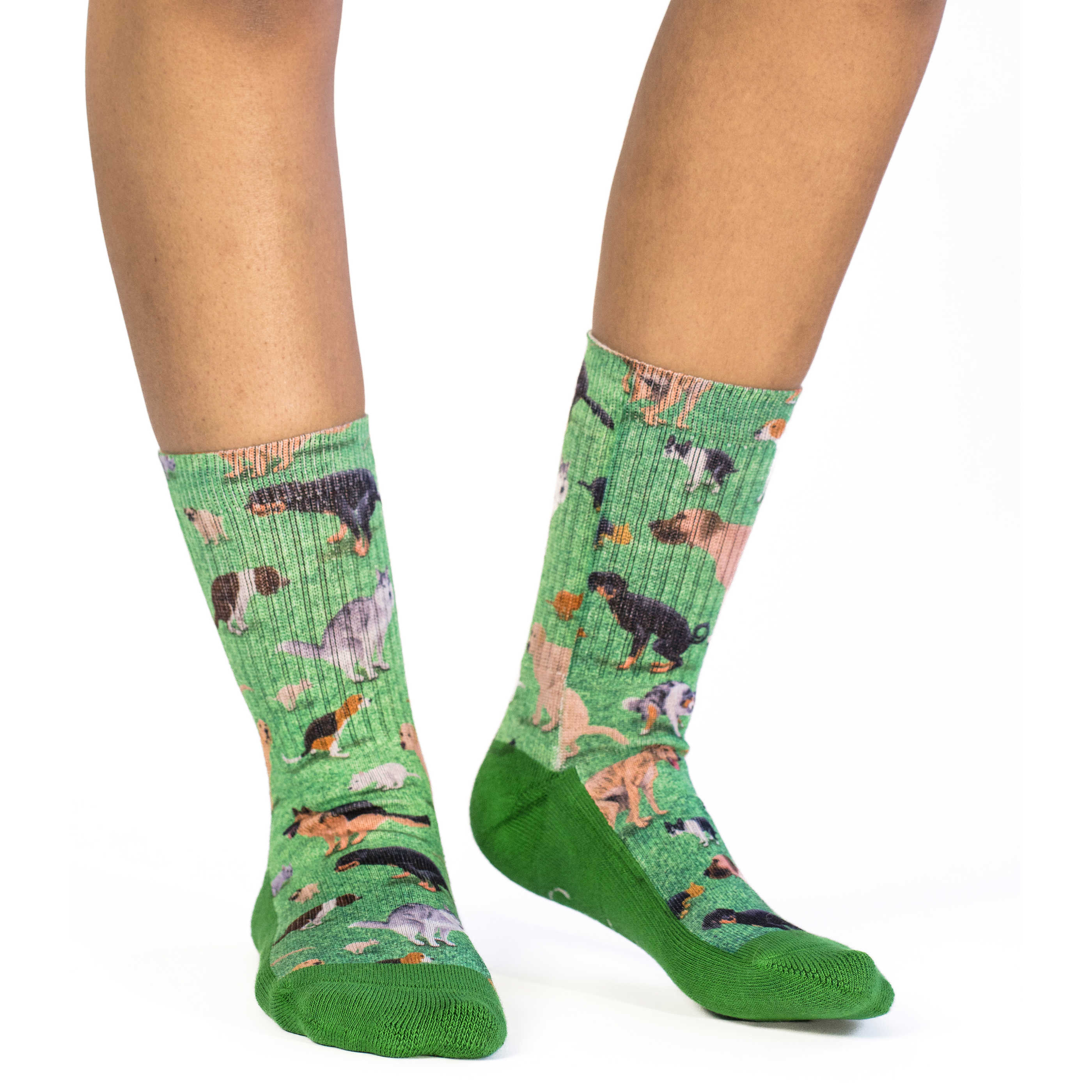 Women's Dogs Pooping Socks